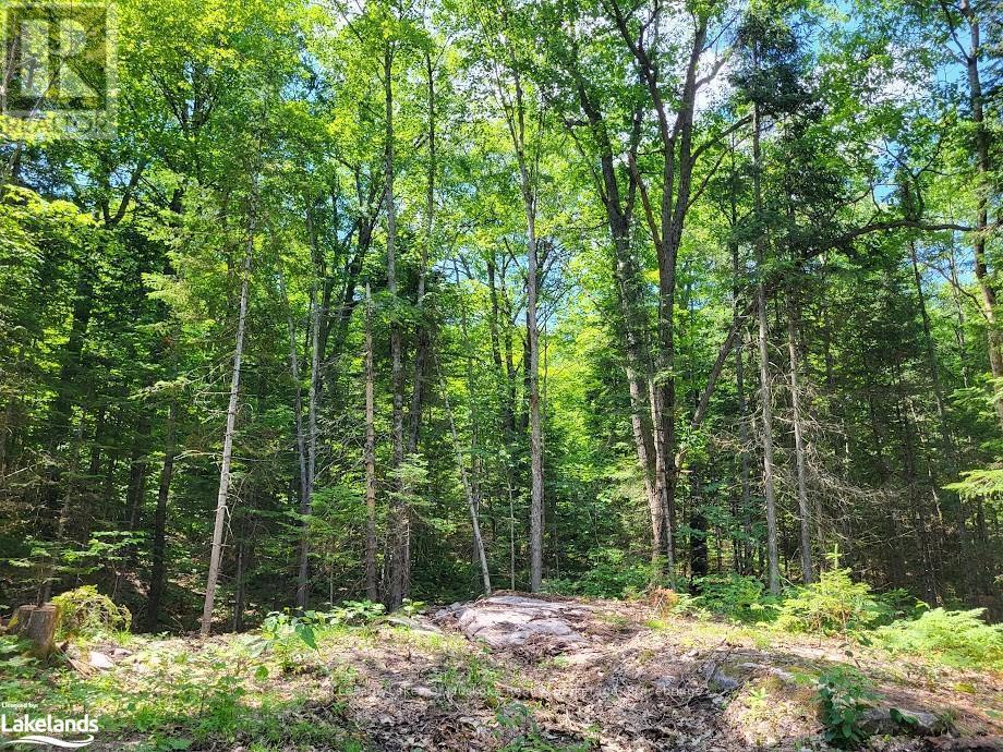 












LOT 5 FAIRY FALLS ROAD

,
Lake of Bays (Mclean),







Ontario
P0B1A0

