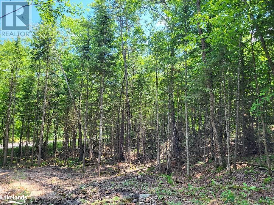 












LOT 5 FAIRY FALLS ROAD

,
Lake of Bays (Mclean),







Ontario
P0B1A0


