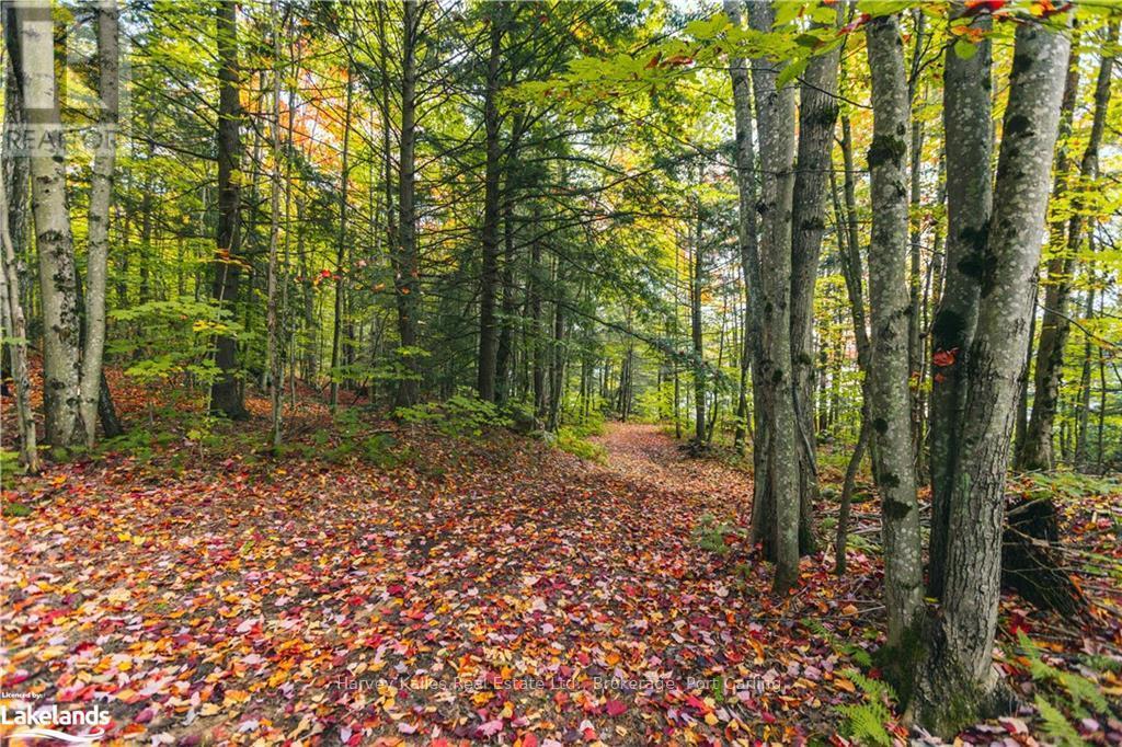 












0 WINDERMERE ROAD

,
Muskoka Lakes (Watt),







Ontario
P0B1M0

