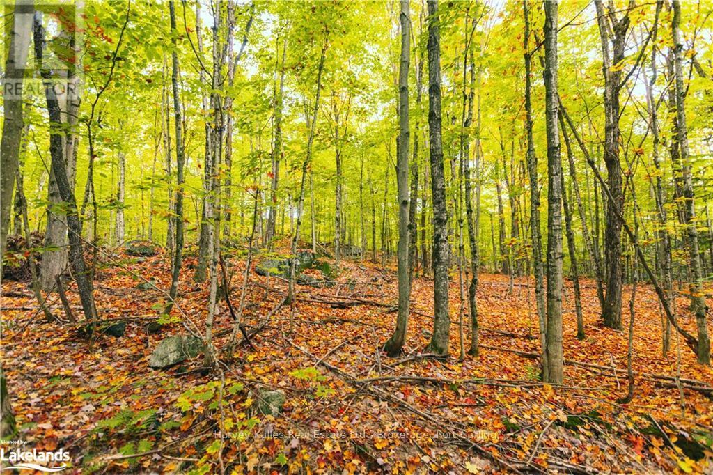 












0 WINDERMERE ROAD

,
Muskoka Lakes (Watt),







Ontario
P0B1M0


