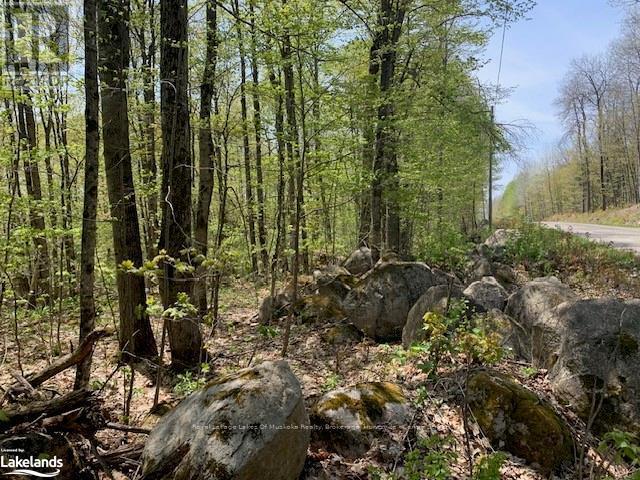 












2376 SOUTH HORN LAKE ROAD

,
Ryerson,







Ontario
P0A1L0

