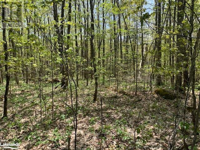 












2376 SOUTH HORN LAKE ROAD

,
Ryerson,







Ontario
P0A1L0

