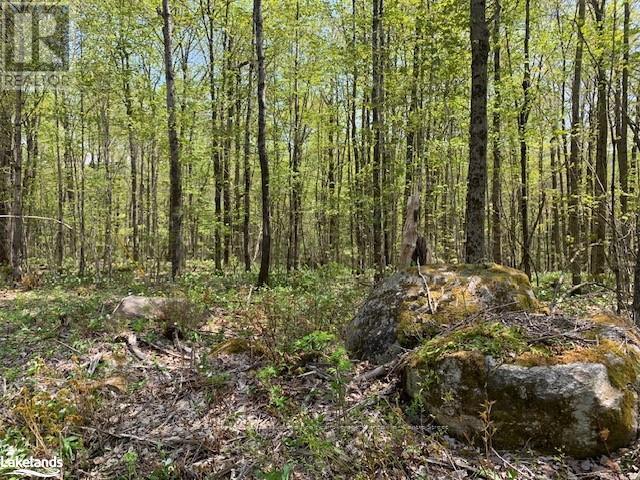 












2376 SOUTH HORN LAKE ROAD

,
Ryerson,







Ontario
P0A1L0

