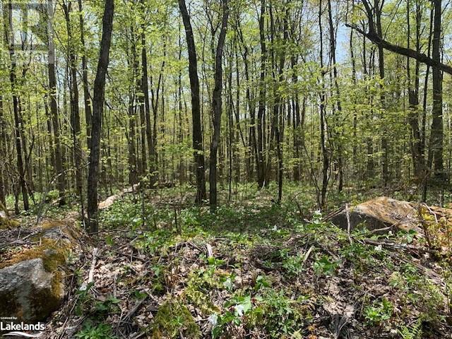 












2376 SOUTH HORN LAKE ROAD

,
Ryerson,







Ontario
P0A1L0

