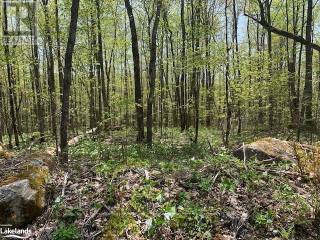 












2376 SOUTH HORN LAKE ROAD

,
Ryerson,







Ontario
P0A1L0

