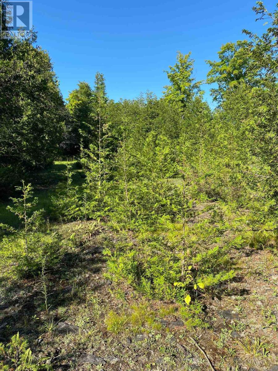 












14311 COUNTY 15 ROAD

,
Merrickville-Wolford,







Ontario
K0G1N0

