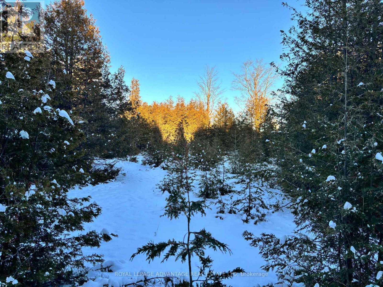 












14311 COUNTY 15 ROAD

,
Merrickville-Wolford,







Ontario
K0G1N0

