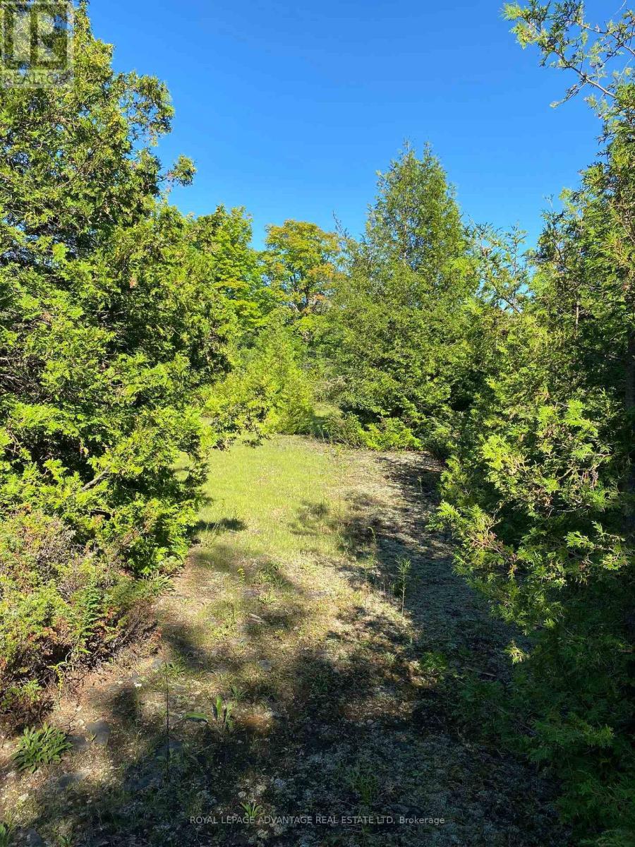 












14289 COUNTY 15 ROAD

,
Merrickville-Wolford,







Ontario
K0G1N0

