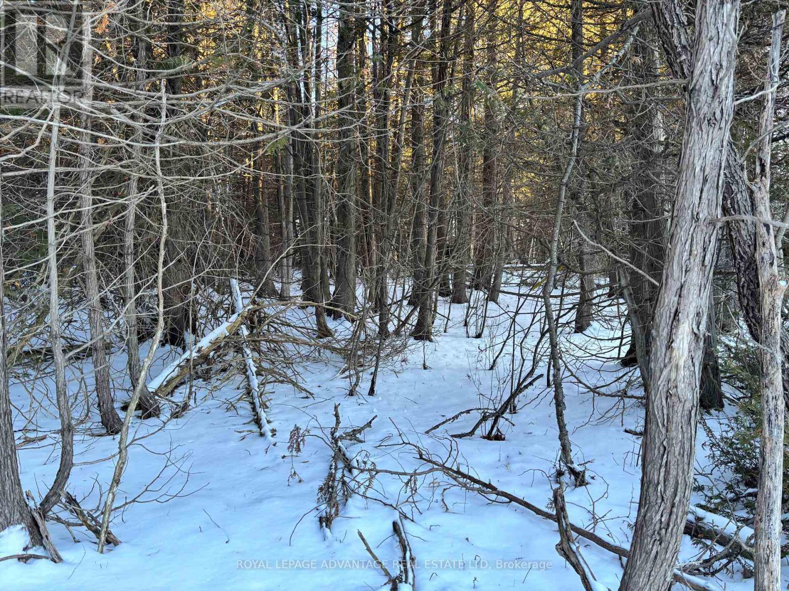












14289 COUNTY 15 ROAD

,
Merrickville-Wolford,







Ontario
K0G1N0

