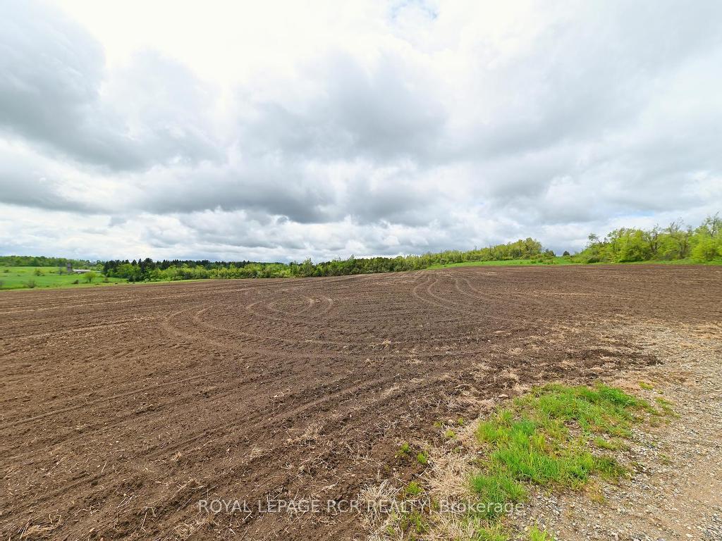 









716582


1st Line E H S

N/A,
Mulmur,







ON
L9V 0G2

