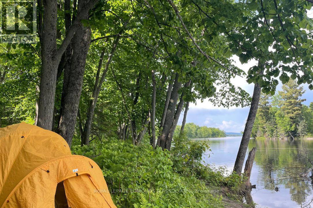 












0 BUTTERNUT

,
Whitewater Region,







Ontario
K0J1C0

