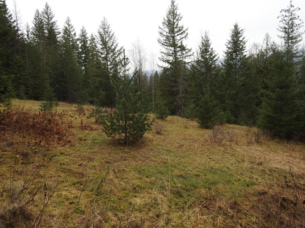 









200


Hidden Lake

Road,
Enderby,







BC
V0E 1V5

