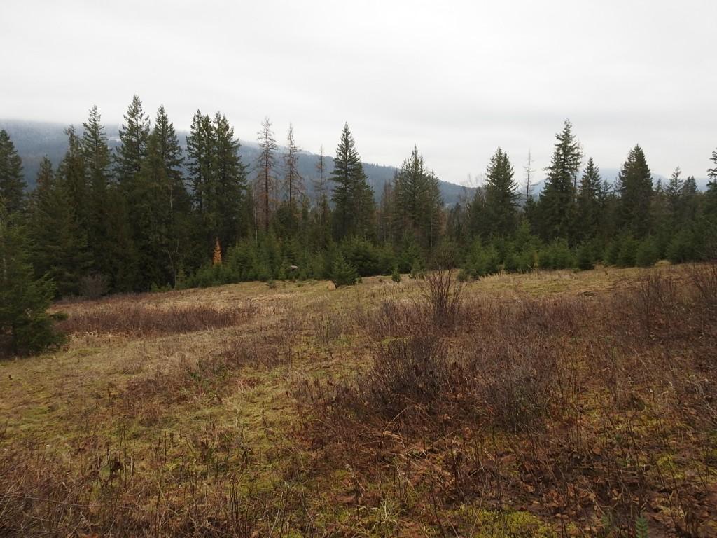 









200


Hidden Lake

Road,
Enderby,







BC
V0E 1V5

