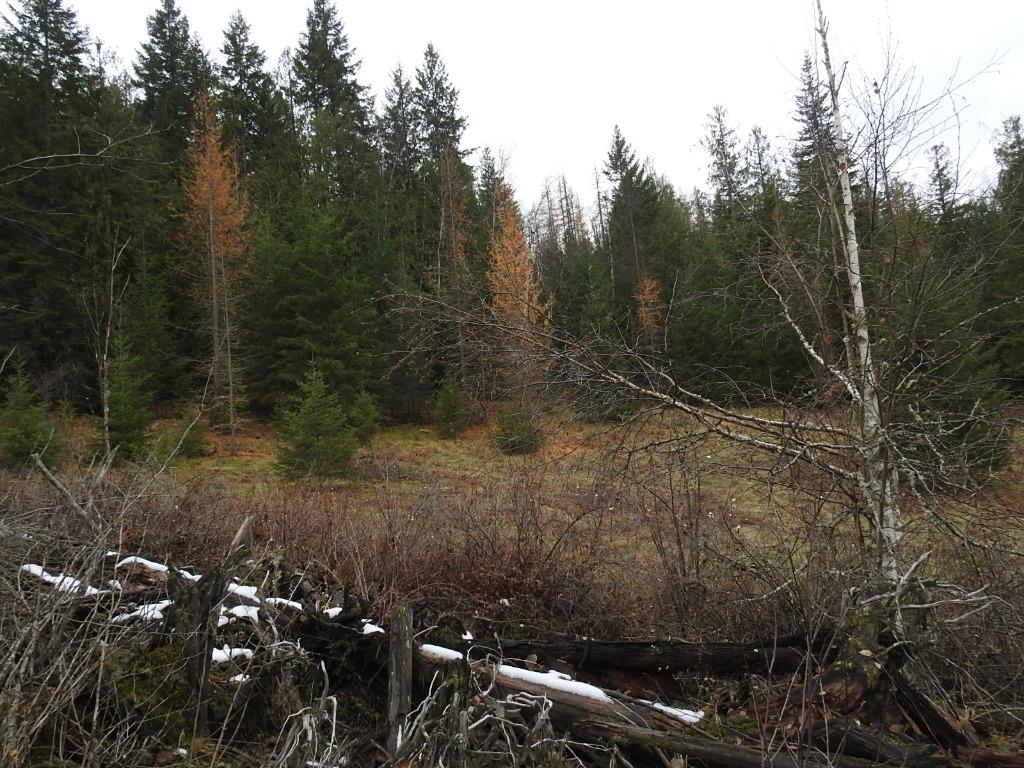 









200


Hidden Lake

Road,
Enderby,







BC
V0E 1V5

