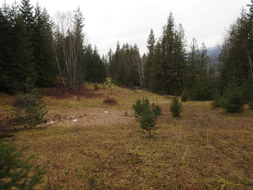 









200


Hidden Lake

Road,
Enderby,







BC
V0E 1V5

