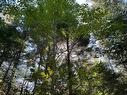 Terre/Terrain