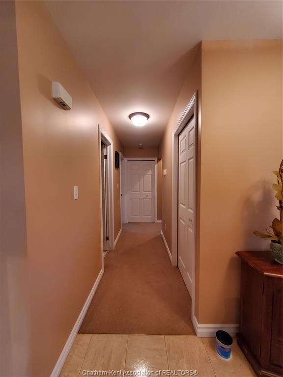 









11300


Rondeau Estates

Line,
Rondeau Bay Estates,




ON
N0P 1X0


