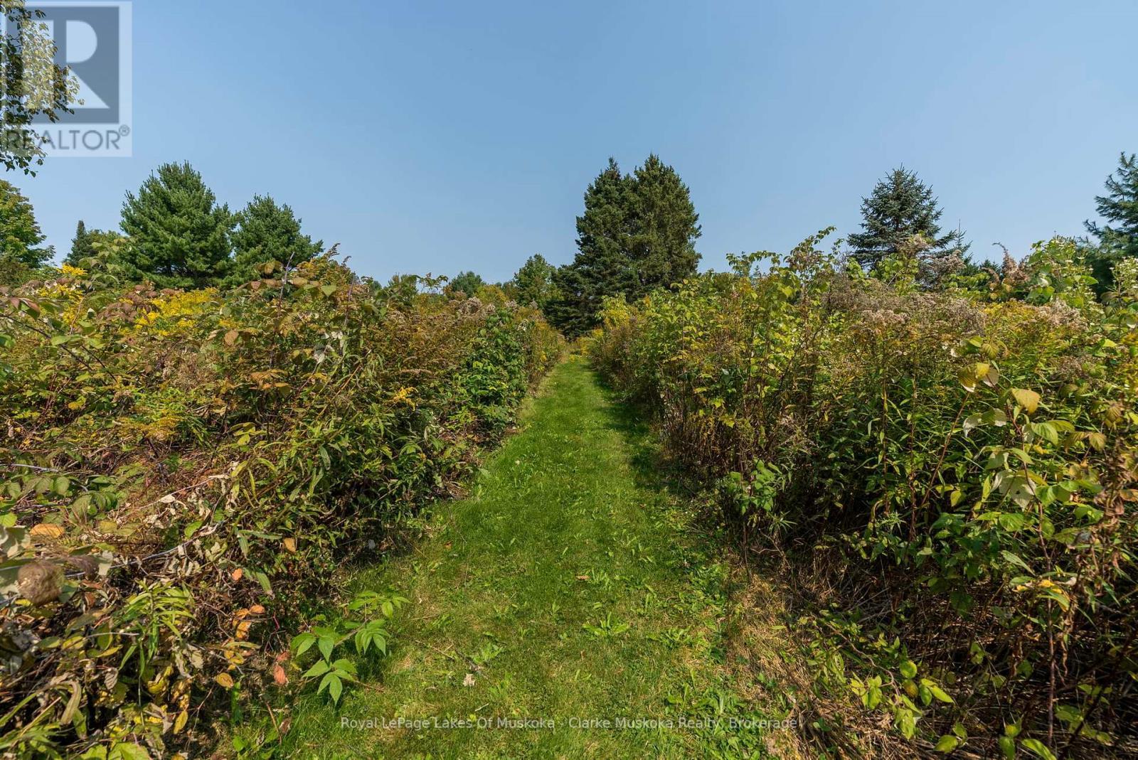 












1259 GOLF COURSE ROAD

,
Lake of Bays (Franklin),




Ontario
P1H2J6

