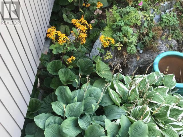 












9117 KROMPOCKER RD

,
Powell River,




British Columbia
V8A0G1


