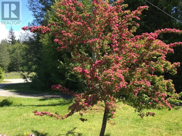 












9117 KROMPOCKER RD

,
Powell River,




British Columbia
V8A0G1


