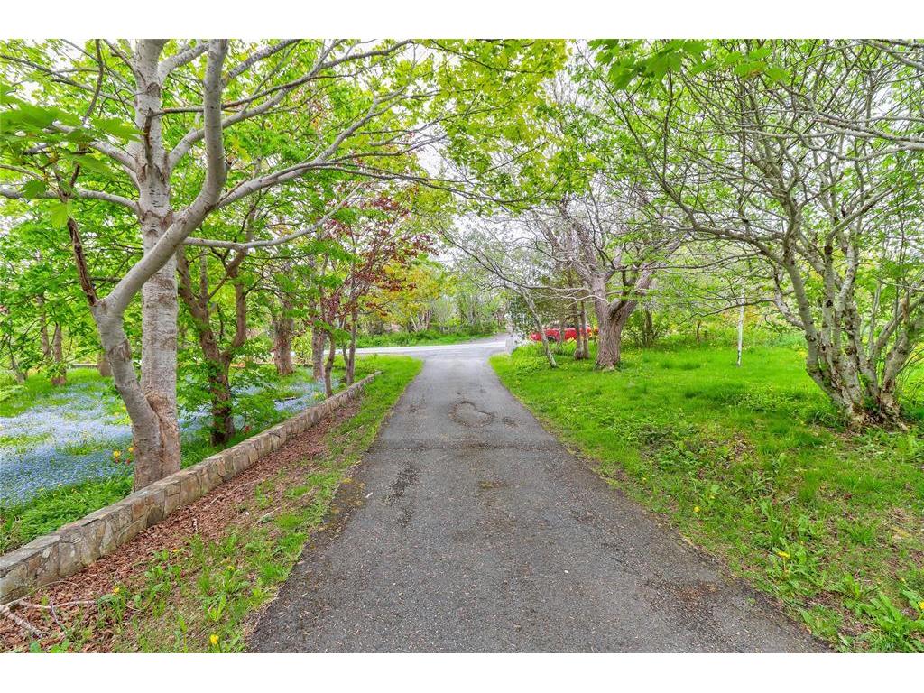 









434


Allandale

Road,
St. John's,




NL
A1B 4E8

