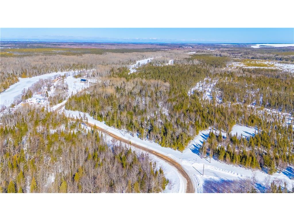 









Lot


du Boom

RD,
Bertrand,







NB
E1W 1M5

