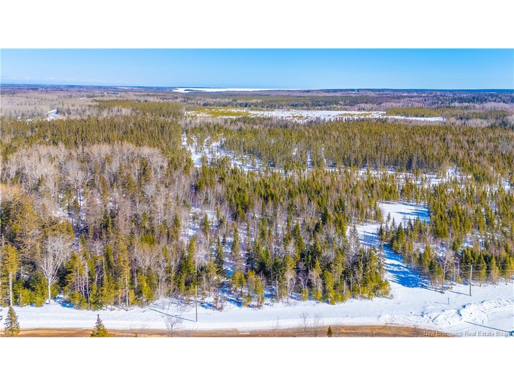 









Lot


du Boom

RD,
Bertrand,







NB
E1W 1M5

