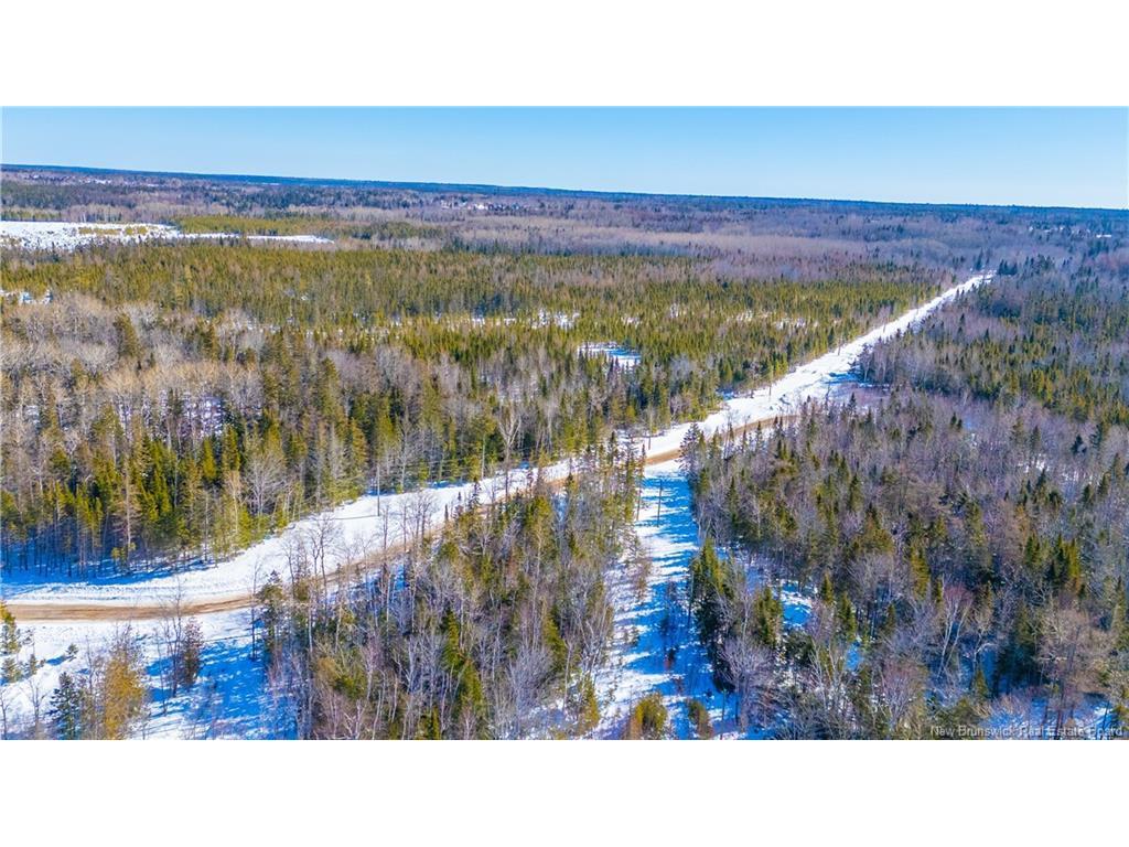 









Lot


du Boom

RD,
Bertrand,







NB
E1W 1M5

