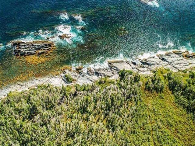 












Lot 24 Herring Point Road

,
Blandford,







NS
B0J 1T0

