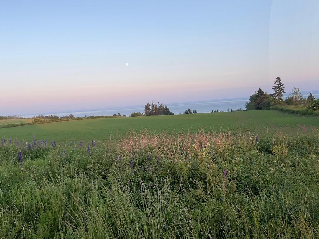 












1081 Trans Canada

,
Wood Islands,




PE
C0A 1R0

