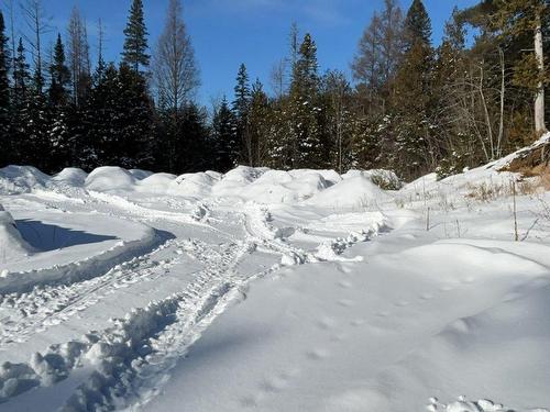 Terre/Terrain