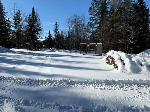 Terre/Terrain