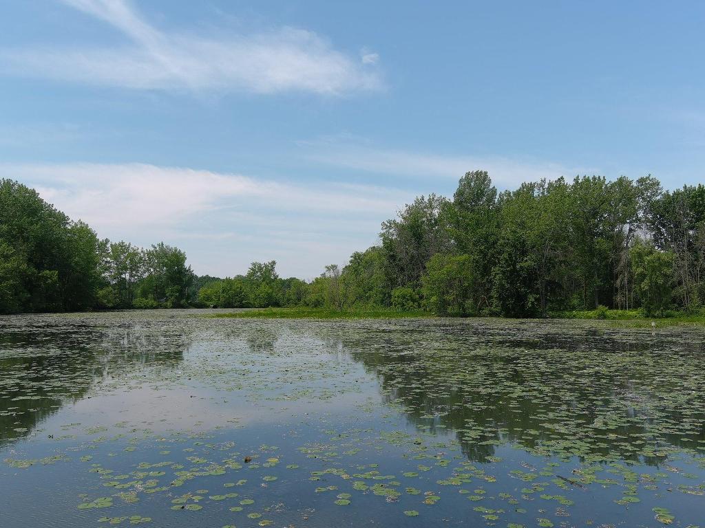 









1201


Ch. de l'Île-St-Eugène

,
Trois-Rivières,




QC
G9B7P7

