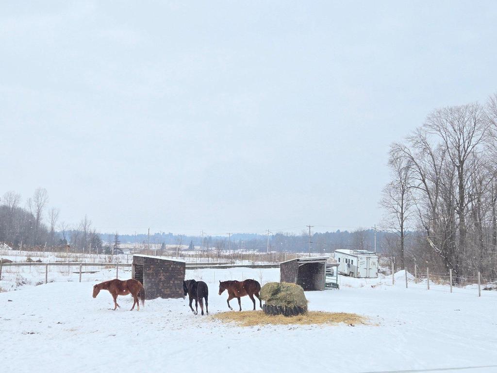 









3750Z


Route Sir-Wilfrid-Laurier

,
Mirabel,




QC
J7N2Z8

