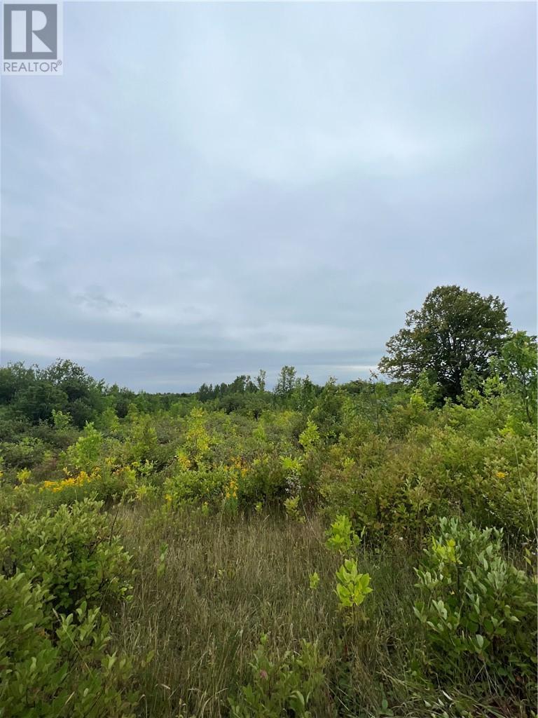 












PT 2 Highway 540

,
Gore Bay, Manitoulin Island,







Ontario
P0P1H0

