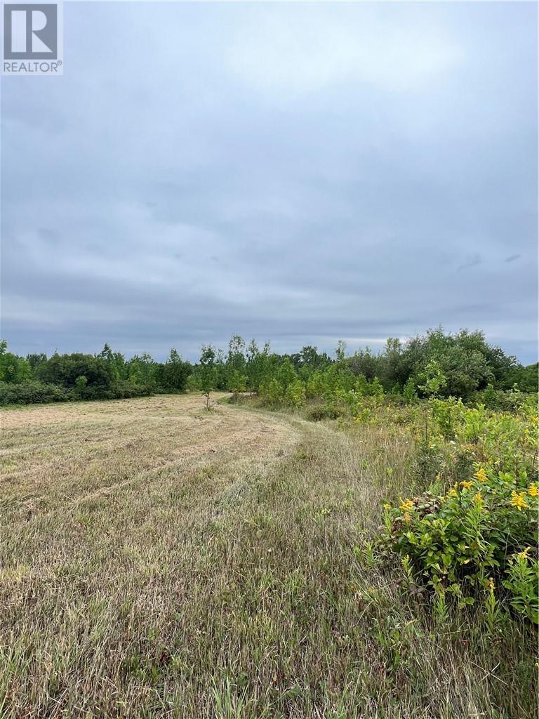 












PT 2 Highway 540

,
Gore Bay, Manitoulin Island,







Ontario
P0P1H0

