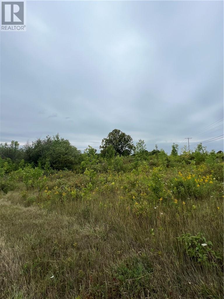 












PT 2 Highway 540

,
Gore Bay, Manitoulin Island,







Ontario
P0P1H0

