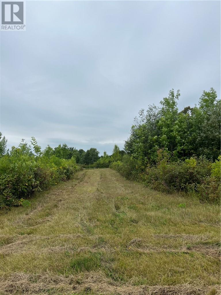 












PT 2 Highway 540

,
Gore Bay, Manitoulin Island,







Ontario
P0P1H0

