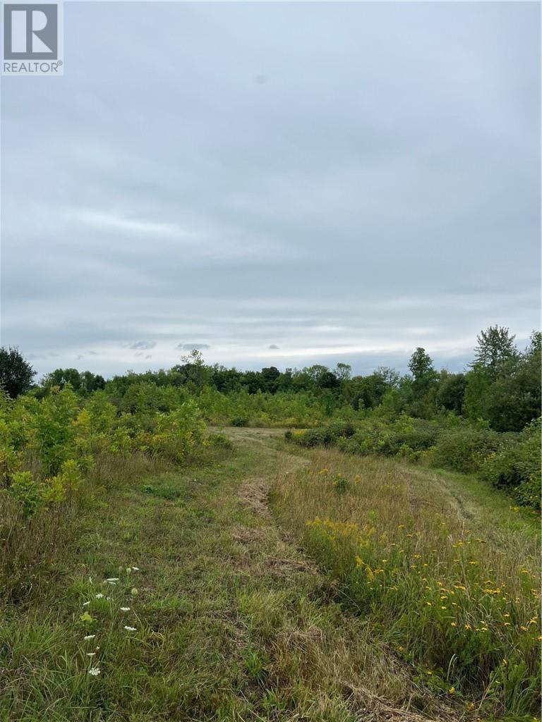 












PT 1 Highway 540

,
Gore Bay, Manitoulin Island,







Ontario
P0P1H0

