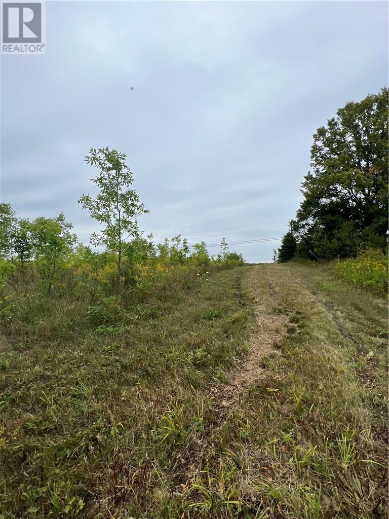












PT 1 Highway 540

,
Gore Bay, Manitoulin Island,







Ontario
P0P1H0

