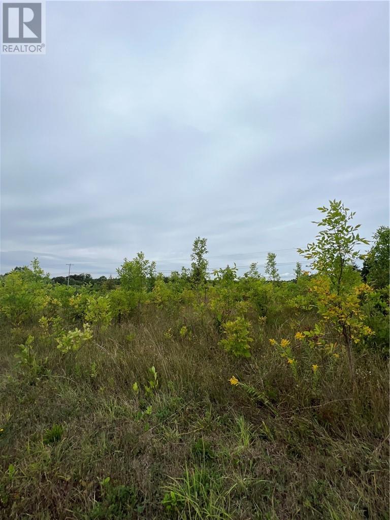 












PT 1 Highway 540

,
Gore Bay, Manitoulin Island,







Ontario
P0P1H0

