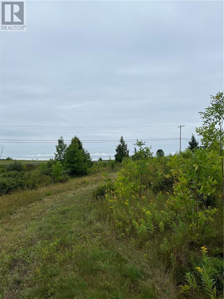 












PT 1 Highway 540

,
Gore Bay, Manitoulin Island,







Ontario
P0P1H0

