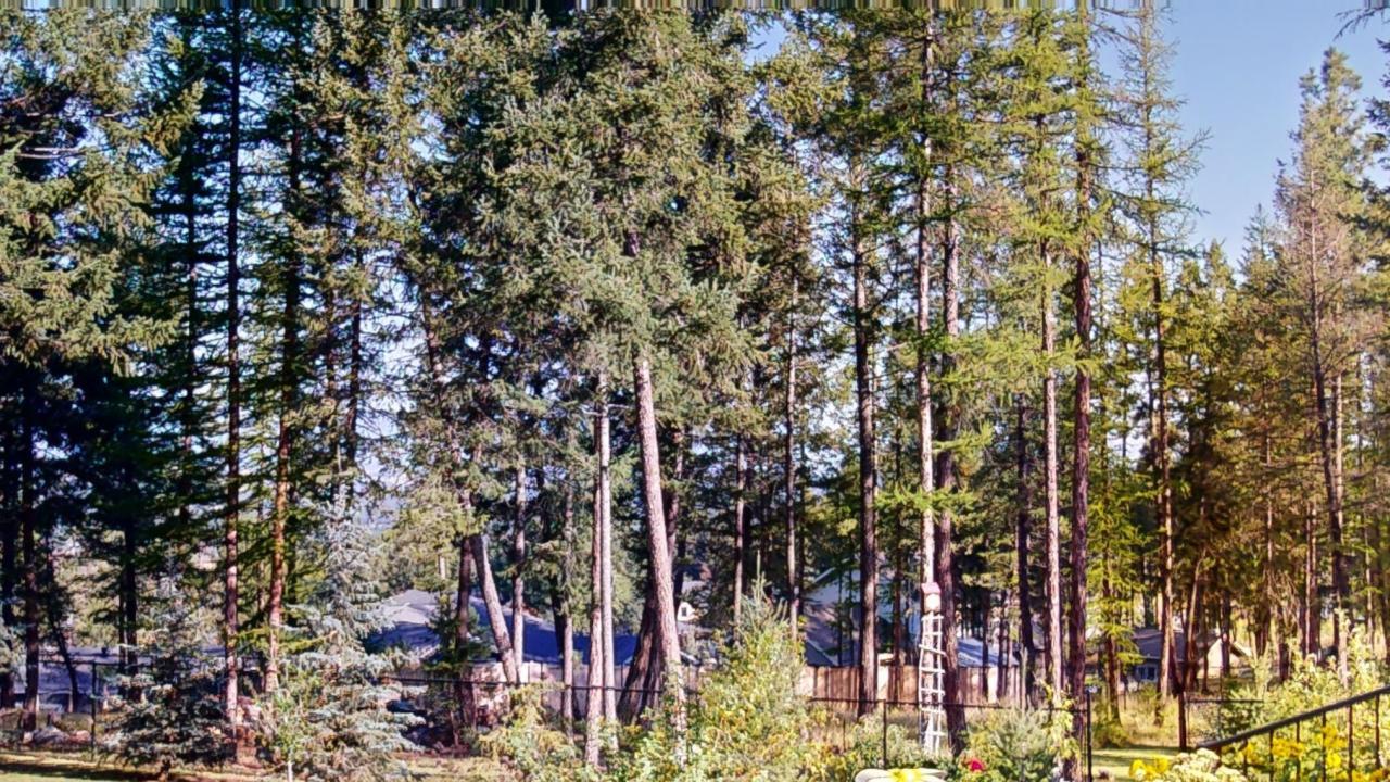 









1613


Mount Royal Peak

Drive,
Cranbrook,







BC
V1C 0C4

