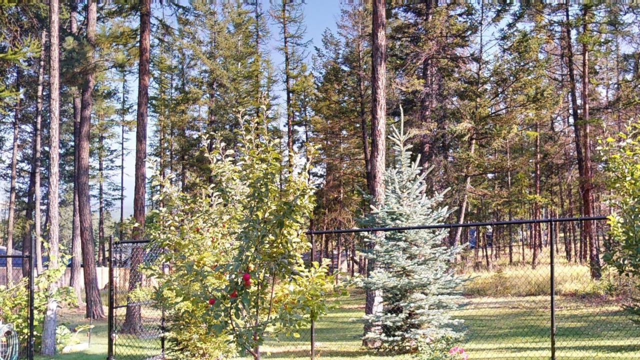 









1613


Mount Royal Peak

Drive,
Cranbrook,







BC
V1C 0C4

