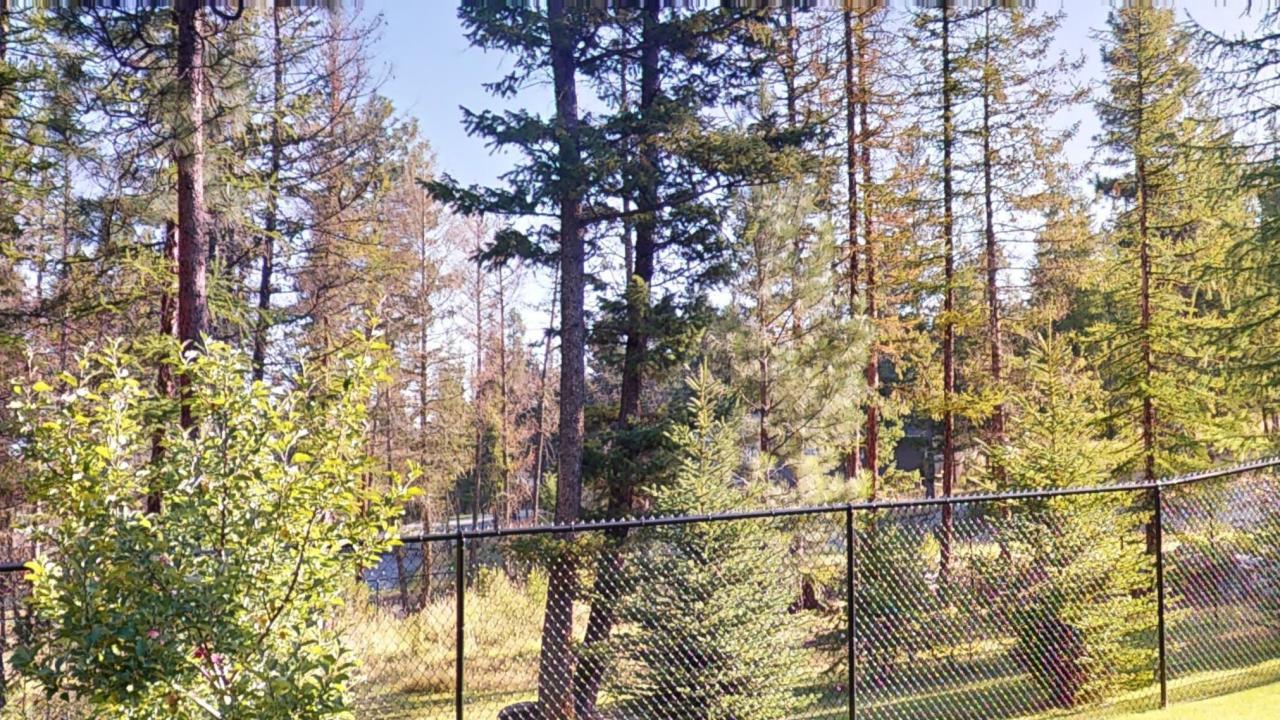 









1613


Mount Royal Peak

Drive,
Cranbrook,







BC
V1C 0C4

