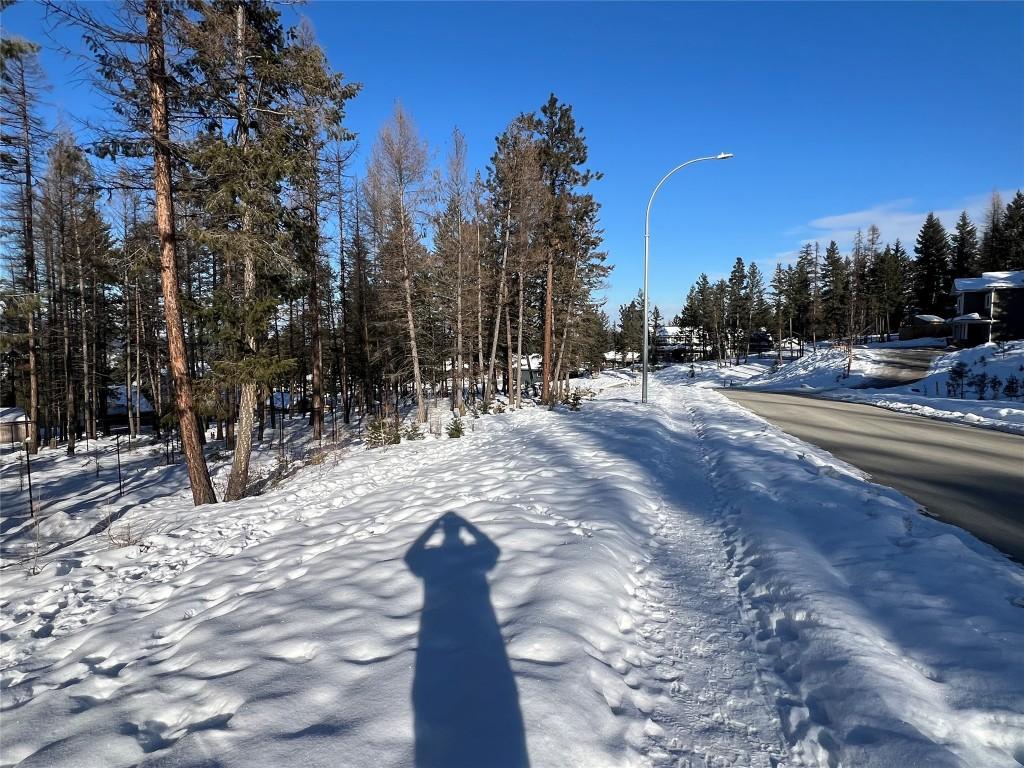 









1613


Mount Royal Peak

Drive,
Cranbrook,







BC
V1C 0C4

