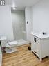 Brand new basement bathroom