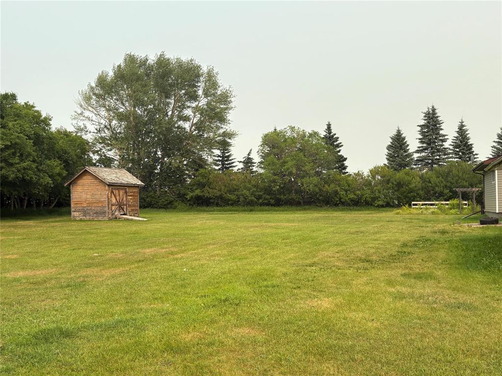 












99110 163W Road

,
St Lazare,




Manitoba
R0M1Y0

