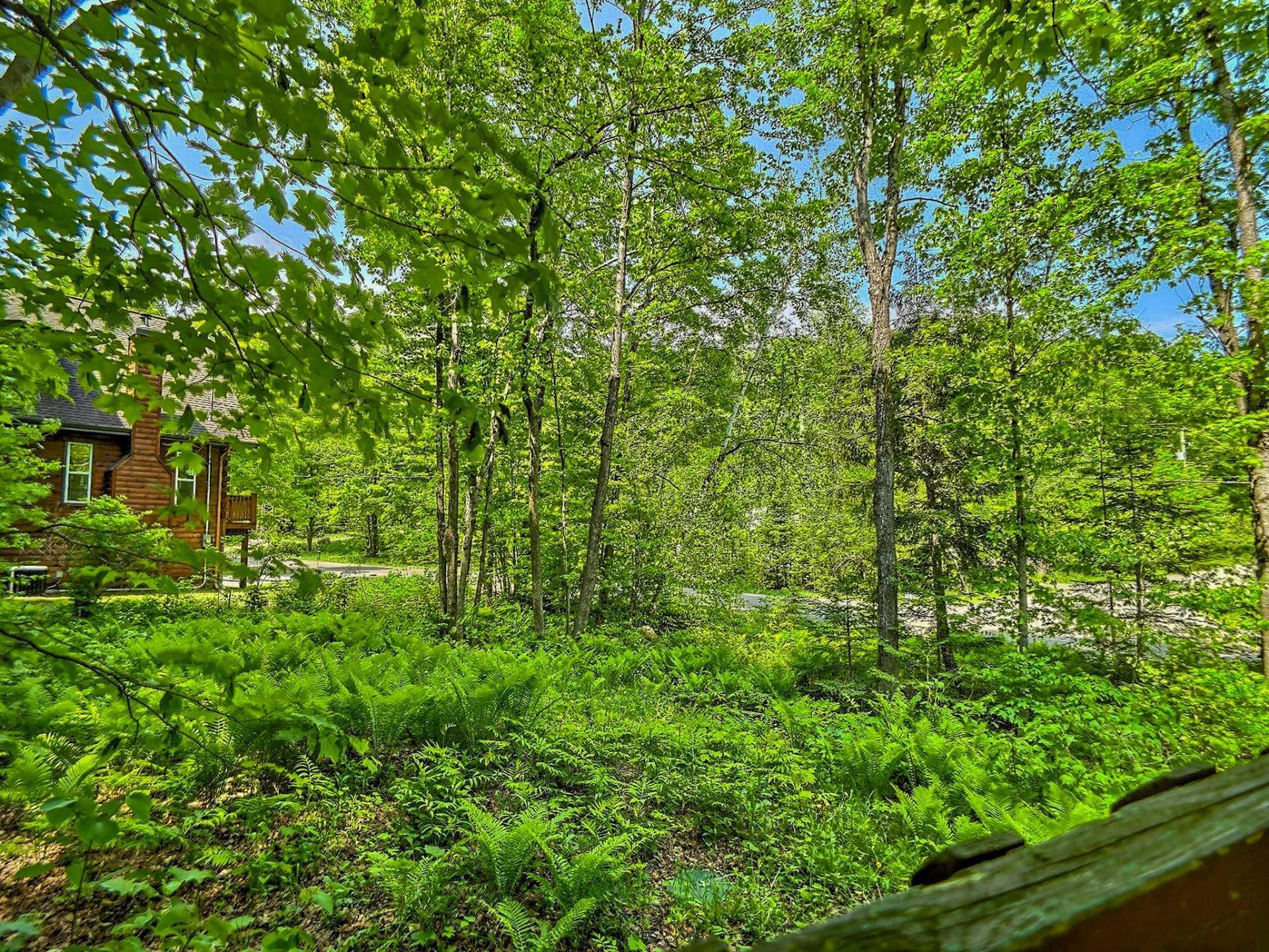 









51


Ch. de Burnt Hill

,
La Pêche,




QC
J0X3G0

