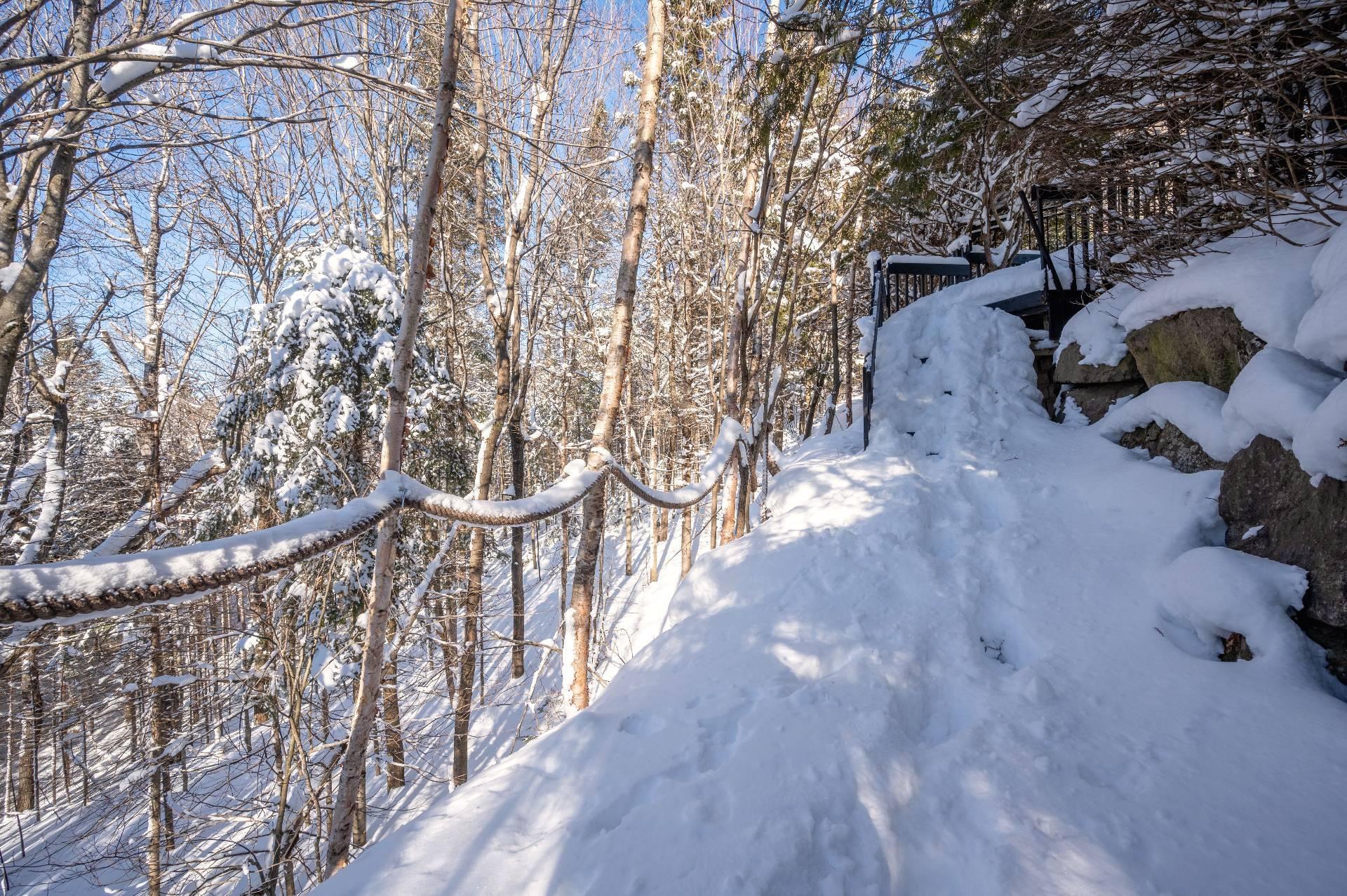 









22


Rue des Ardoises

,
Sainte-Agathe-des-Monts,




QC
J8C3N2

